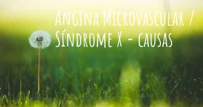 Angina Microvascular / Síndrome X - causas
