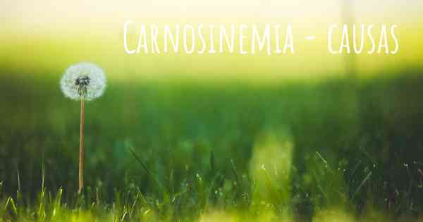 Carnosinemia - causas