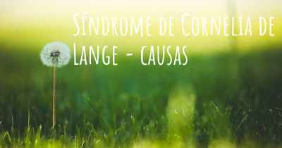 Síndrome de Cornelia de Lange - causas