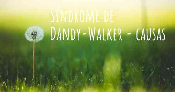 Síndrome de Dandy-Walker - causas