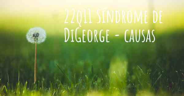 22q11 Síndrome de DiGeorge - causas