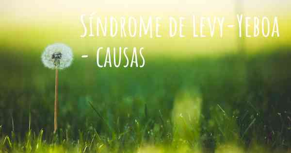 Síndrome de Levy-Yeboa - causas