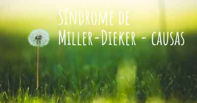 Síndrome de Miller-Dieker - causas