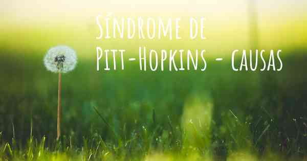 Síndrome de Pitt-Hopkins - causas