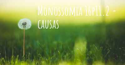 Monossomia 16p11.2 - causas