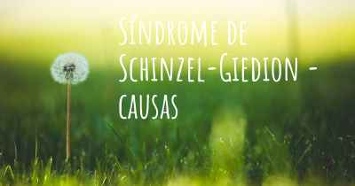 Síndrome de Schinzel-Giedion - causas