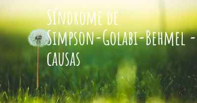 Síndrome de Simpson-Golabi-Behmel - causas