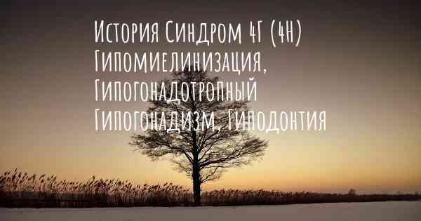 История Синдром 4Г (4H) Гипомиелинизация, Гипогонадотропный Гипогонадизм, Гиподонтия