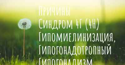 Причины Синдром 4Г (4H) Гипомиелинизация, Гипогонадотропный Гипогонадизм, Гиподонтия