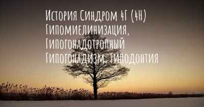 История Синдром 4Г (4H) Гипомиелинизация, Гипогонадотропный Гипогонадизм, Гиподонтия