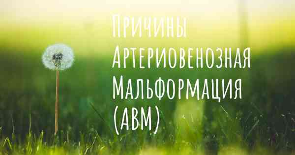 Причины Артериовенозная Мальформация (АВМ)