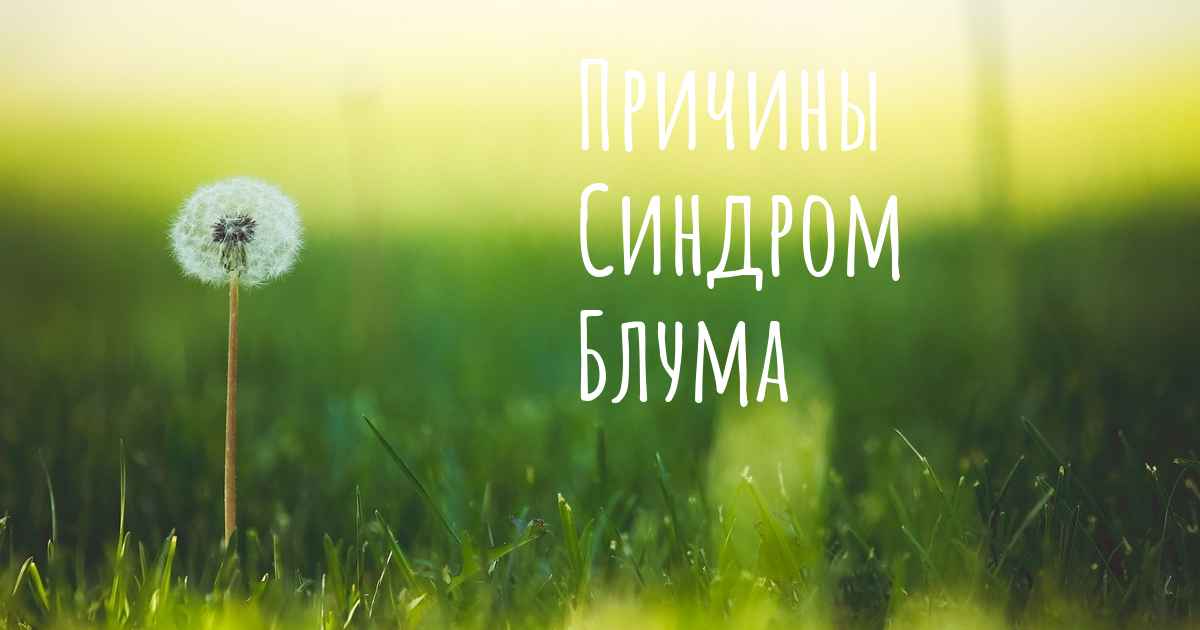 Каковы причины Синдром Блума?