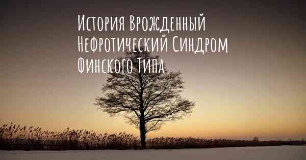 История Врожденный Нефротический Синдром Финского Типа