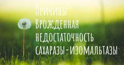 Причины Врожденная недостаточность сахаразы-изомальтазы