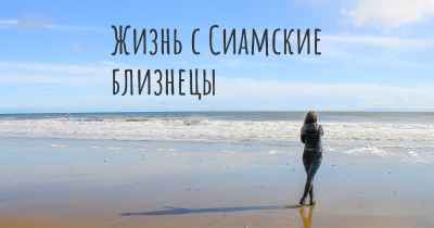 Жизнь с Сиамские близнецы