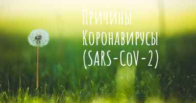 Причины Коронавирусы (SARS-CoV-2)