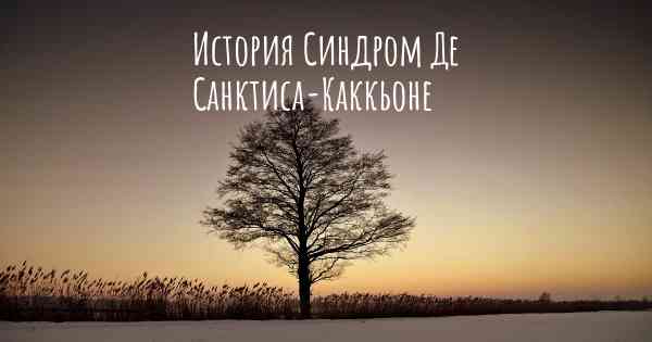 История Синдром Де Санктиса-Каккьоне