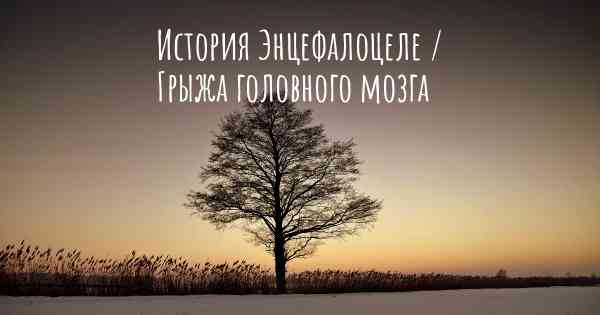 История Энцефалоцеле / Грыжа головного мозга