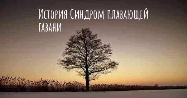 История Синдром плавающей гавани