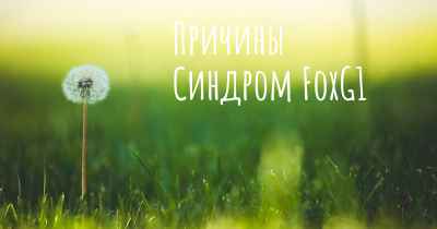 Причины Синдром FoxG1