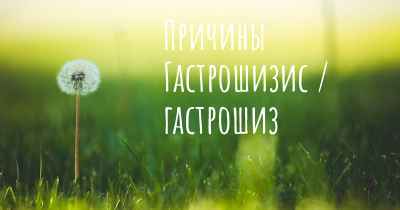 Причины Гастрошизис / гастрошиз