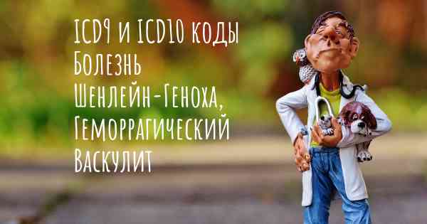 ICD9 и ICD10 коды Болезнь Шенлейн-Геноха, Геморрагический Васкулит