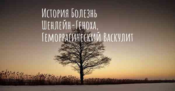 История Болезнь Шенлейн-Геноха, Геморрагический Васкулит