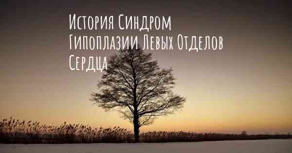 История Синдром Гипоплазии Левых Отделов Сердца