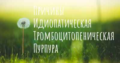 Причины Идиопатическая Тромбоцитопеническая Пурпура