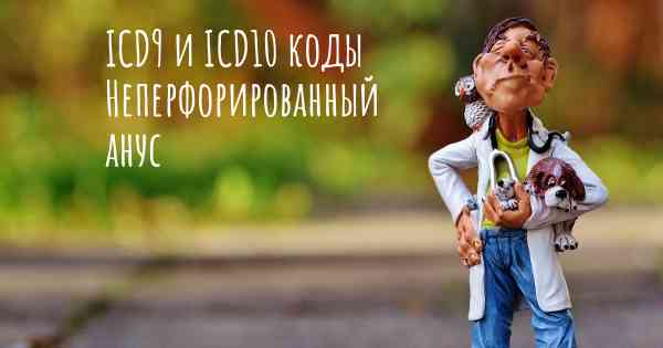 ICD9 и ICD10 коды Неперфорированный анус