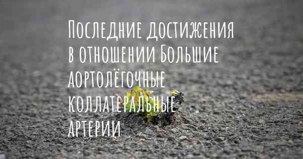 Последние достижения в отношении Большие аортолёгочные коллатеральные артерии