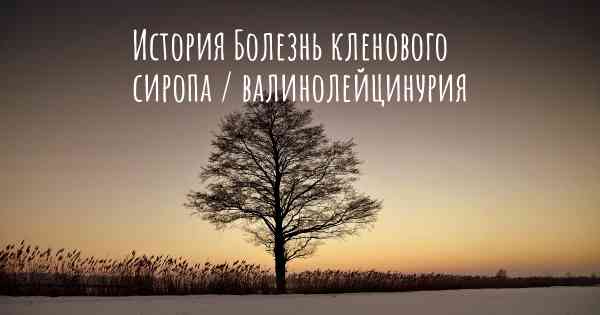 История Болезнь кленового сиропа / валинолейцинурия