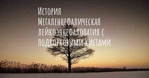 История Мегаленцефалическая лейкоэнцефалопатия с подкорковыми кистами