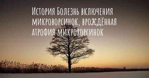 История Болезнь включения микроворсинок, врождённая атрофия микроворсинок