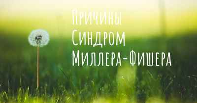Причины Синдром Миллера-Фишера