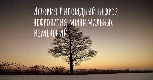 История Липоидный нефроз, нефропатия минимальных изменений