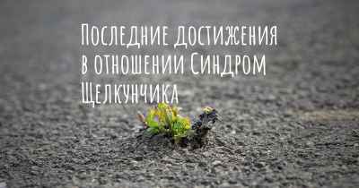 Последние достижения в отношении Синдром Щелкунчика