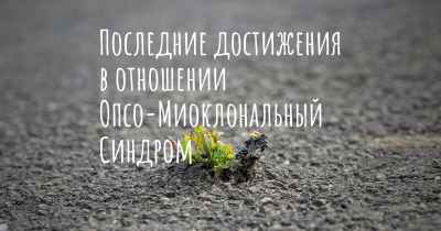 Последние достижения в отношении Опсо-Миоклональный Синдром