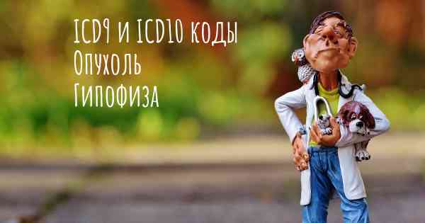 ICD9 и ICD10 коды Опухоль Гипофиза