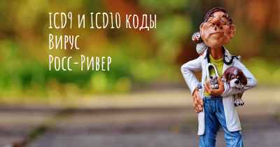 ICD9 и ICD10 коды Вирус Росс-Ривер