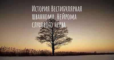 История Вестибулярная шваннома, Нейрома слухового нерва