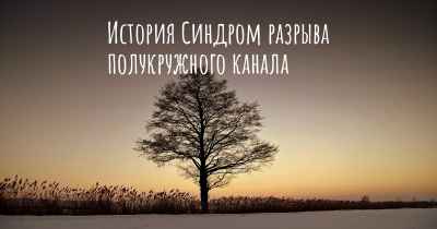 История Синдром разрыва полукружного канала