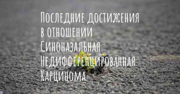 Последние достижения в отношении Синоназальная Недифференцированная Карцинома