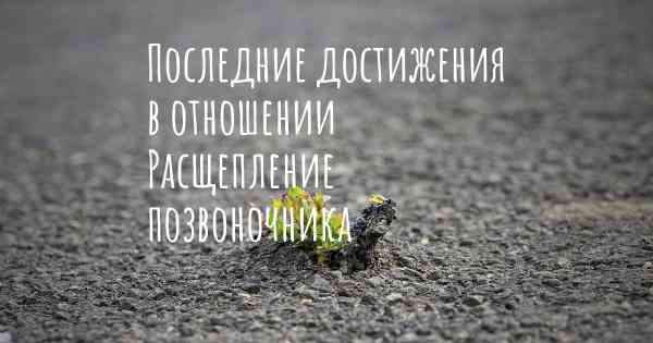 Последние достижения в отношении Расщепление позвоночника
