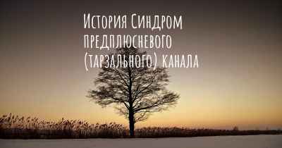 История Синдром предплюсневого (тарзального) канала