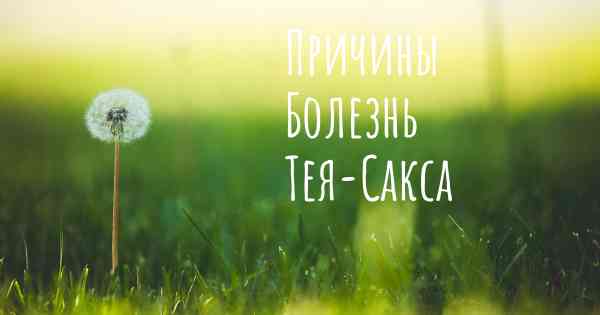 Причины Болезнь Тея-Сакса