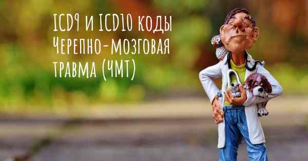 ICD9 и ICD10 коды Черепно-мозговая травма (ЧМТ)