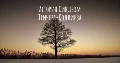 История Синдром Тричера-Коллинза