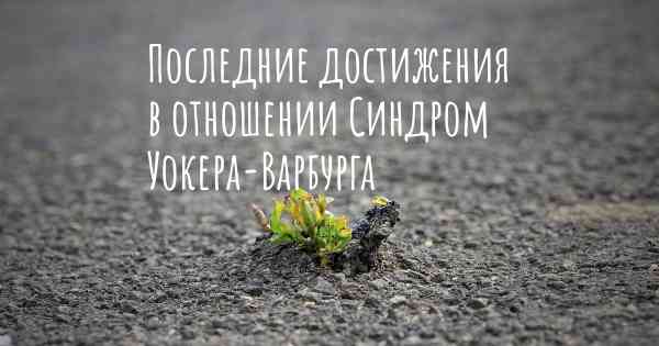 Последние достижения в отношении Синдром Уокера-Варбурга