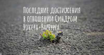 Последние достижения в отношении Синдром Уокера-Варбурга